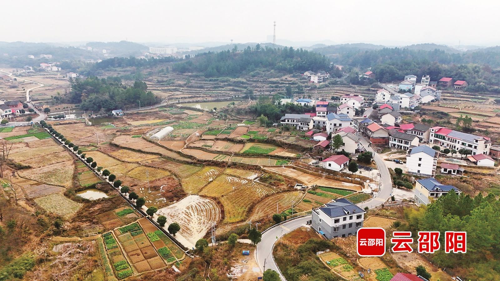 北塔区李子塘村:从荒坡秃岭到四季飘香(图2)