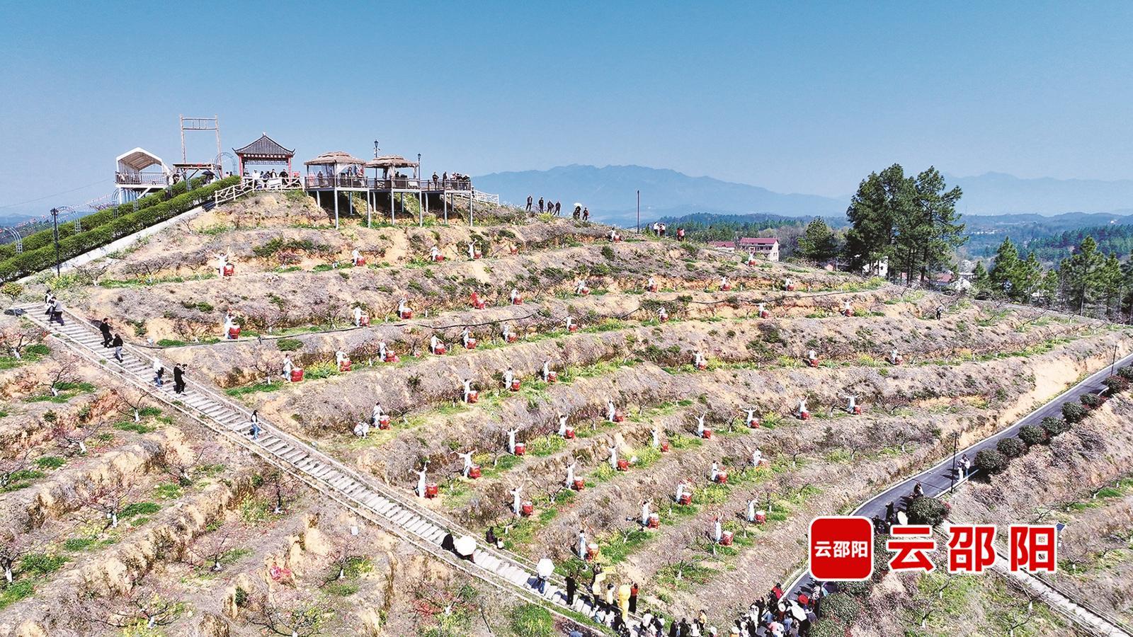 北塔区李子塘村:从荒坡秃岭到四季飘香(图4)