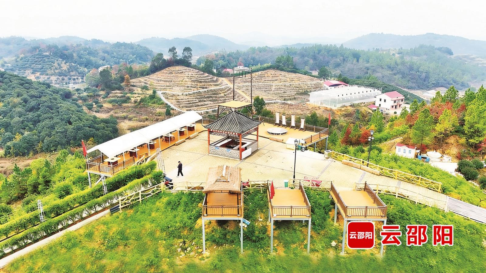 北塔区李子塘村:从荒坡秃岭到四季飘香(图6)