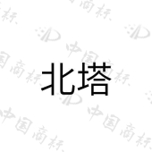 北塔 知识产权(图13)