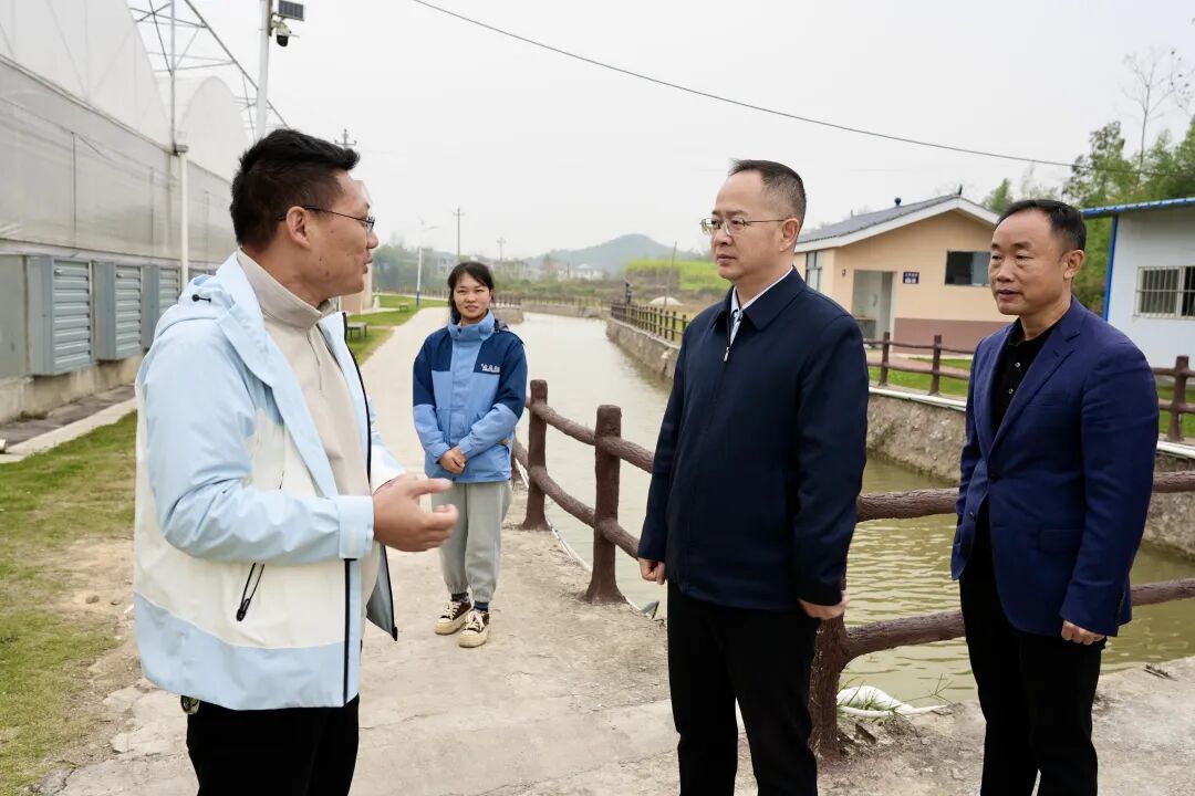 张龚到陈家桥镇调研农文旅项目(图1)