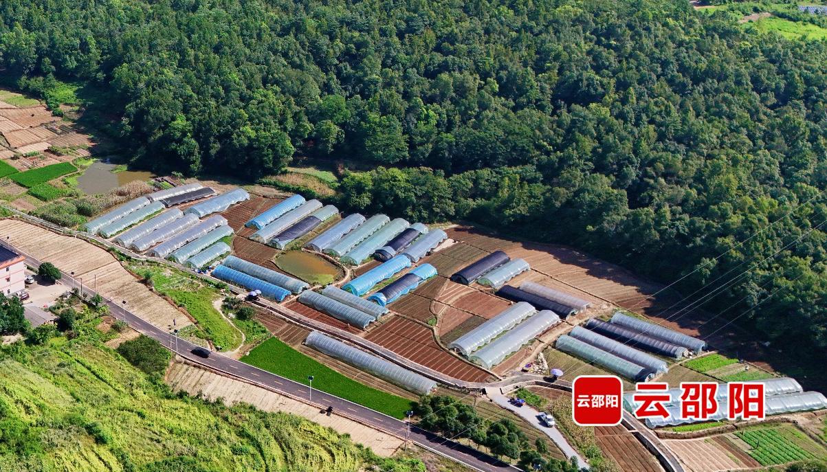 北塔区南岗文旅小镇“破圈”背后的城乡融合发展探索